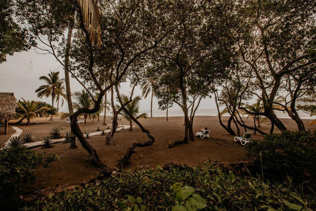 Sansara Surf Yoga & Resort Камбуталь Экстерьер фото